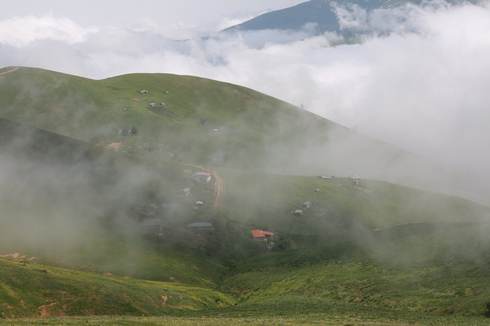 Photograph by Chia Hasankhali