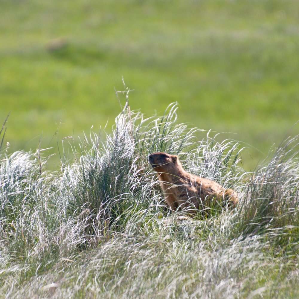 Photograph by Карякин Александр