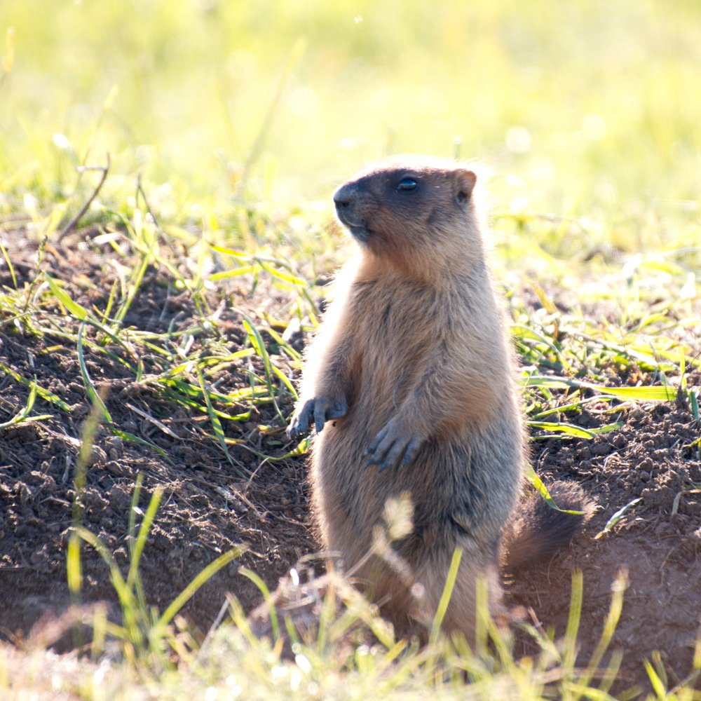 Photograph by Карякин Александр