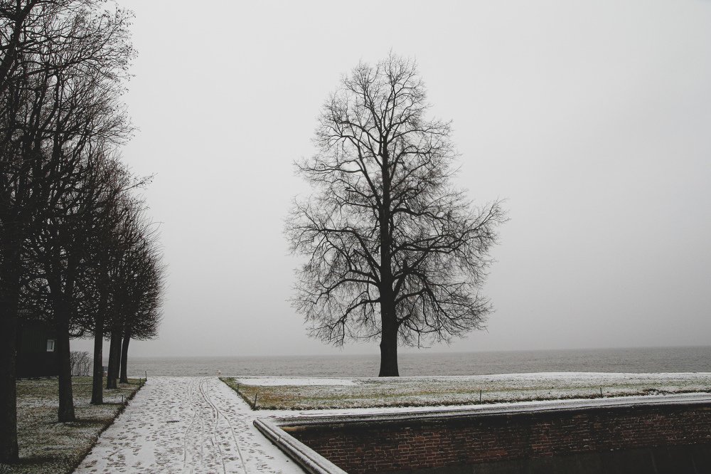 Photograph by Дмитрий Малышев