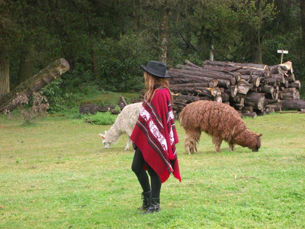 Parte de la naturaleza