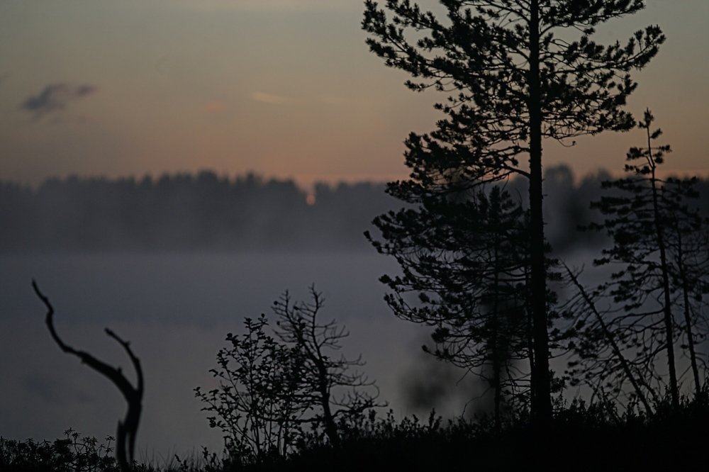 Фотография автора Андрей Шувалов