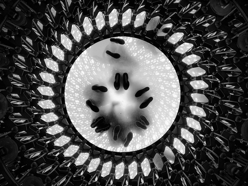 Photograph by Jenny Merheb