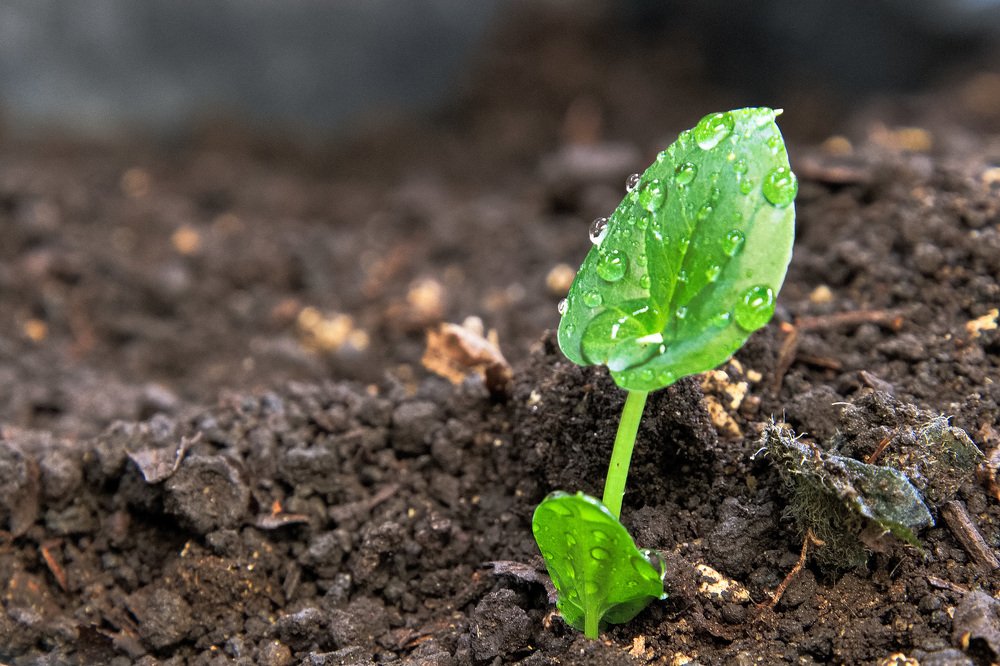 Фотография автора Juan Carlos Castillo