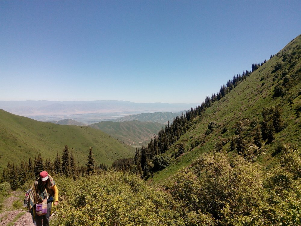 Photograph by Андрей Абрамов