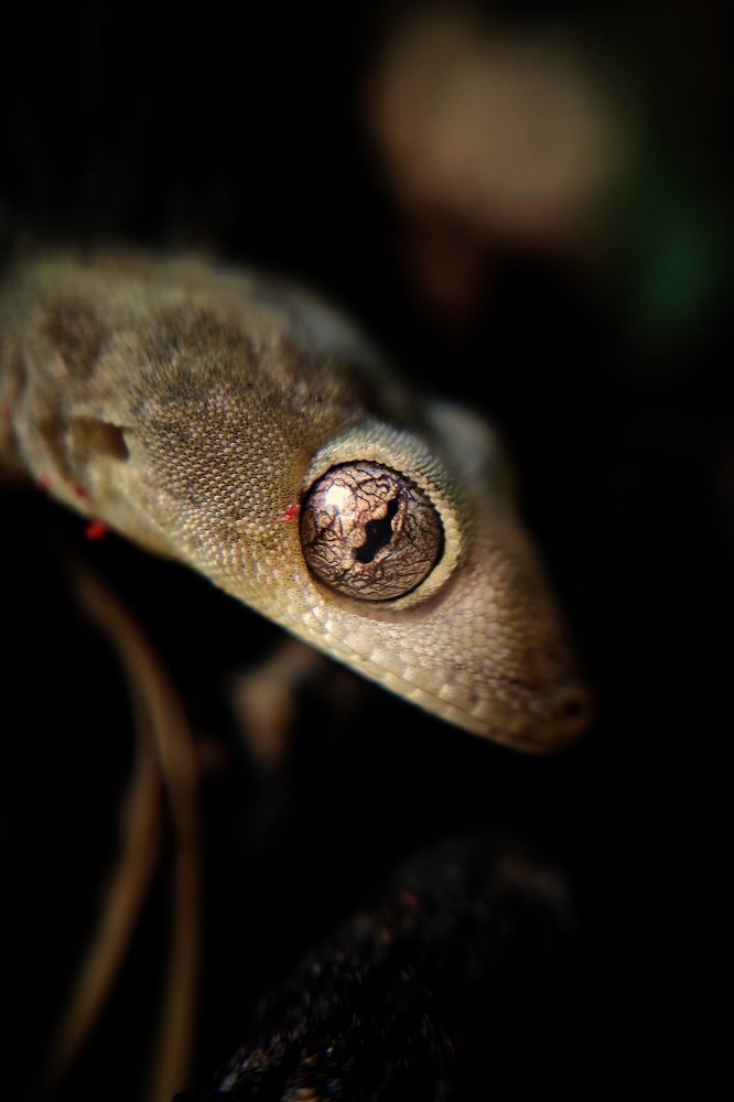 Photograph by Arun Kumar