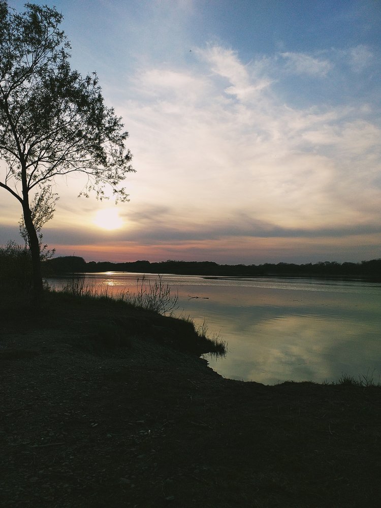 Photograph by Вероника