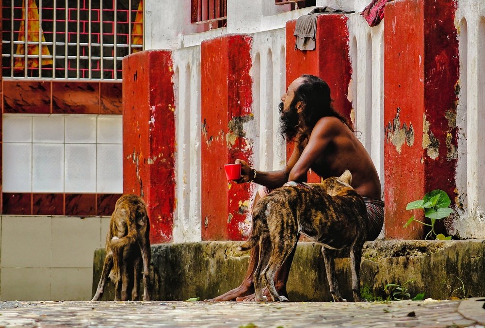 In search of happiness