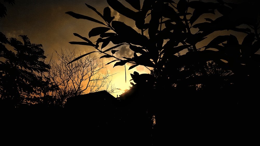 Photo #4683723