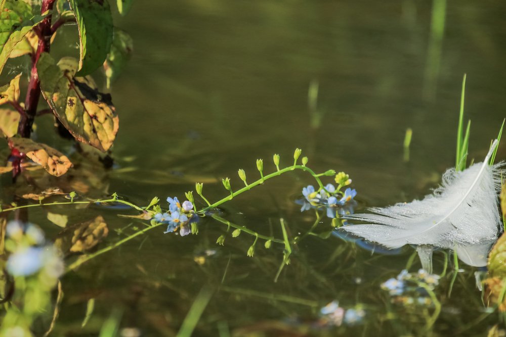 Photograph by Irma Huisman