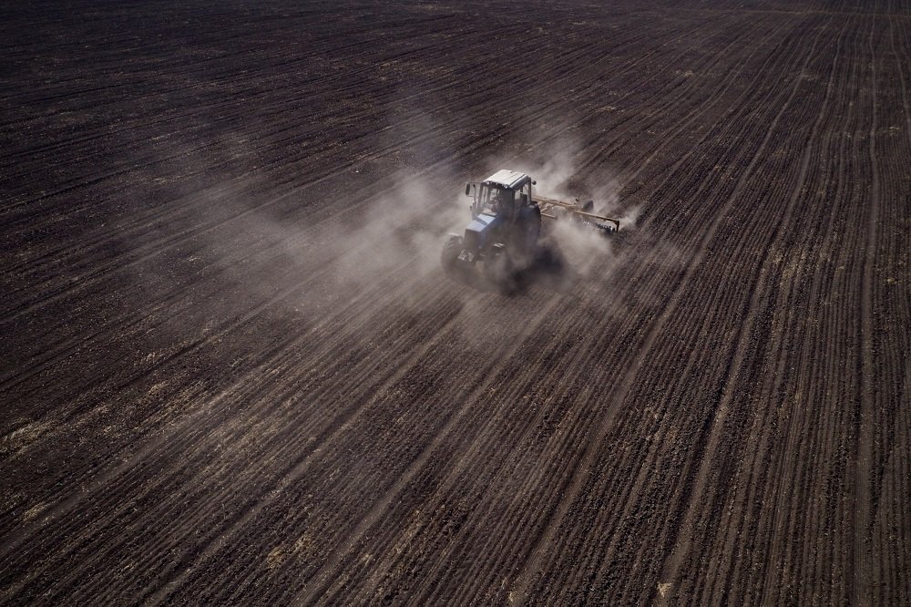 Photograph by Дмитрий Саржанов