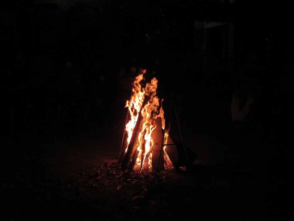 Photograph by Susmita Paul