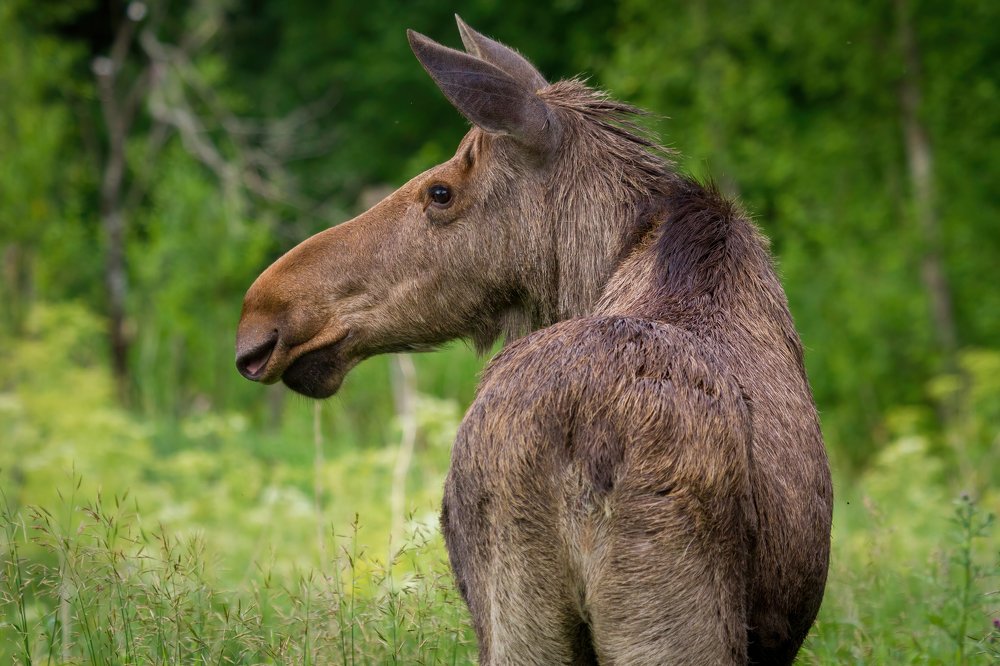 Photograph by Артем