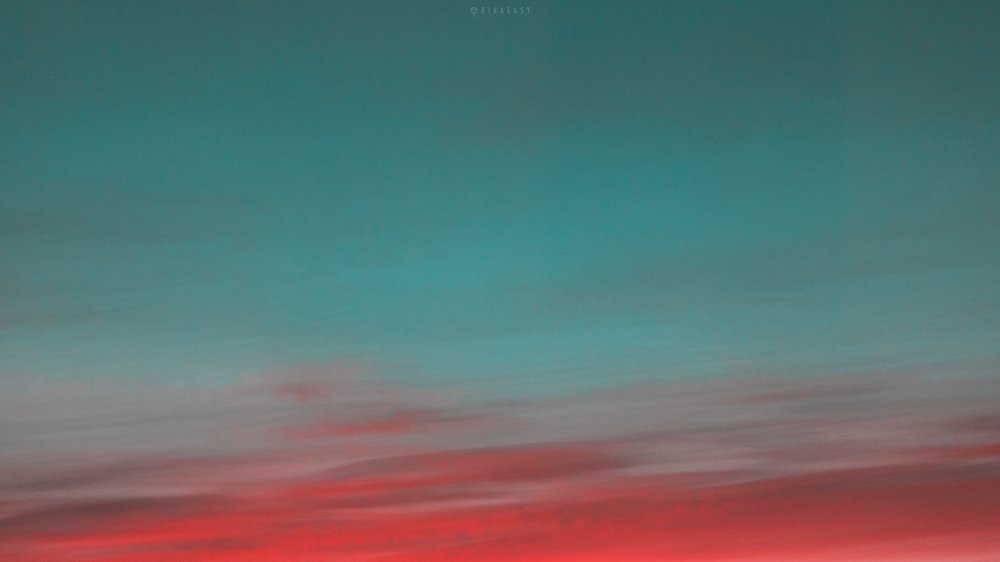 Photograph by Erika Tsogoeva