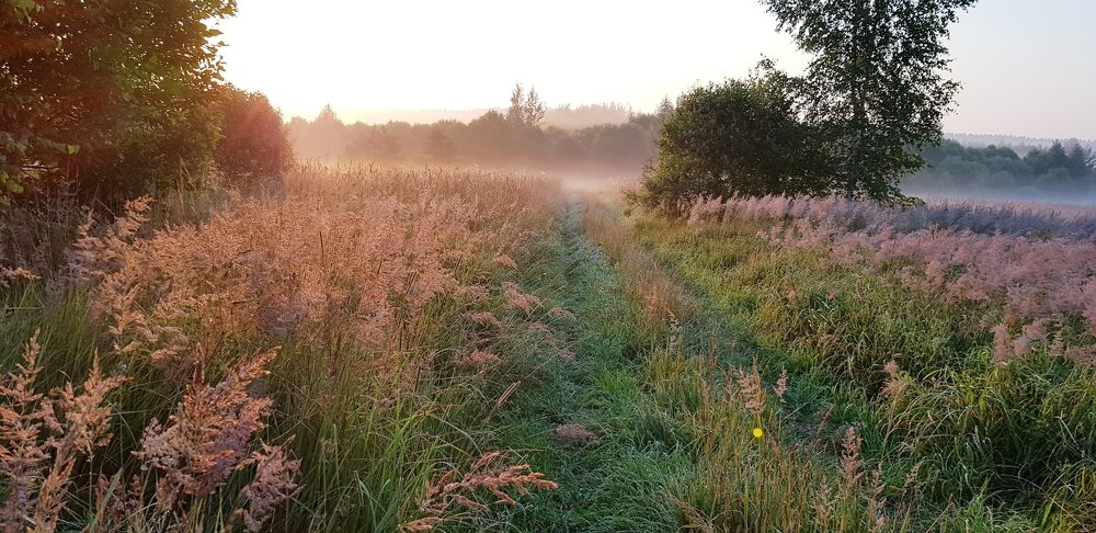 Photograph by Larisa Gella