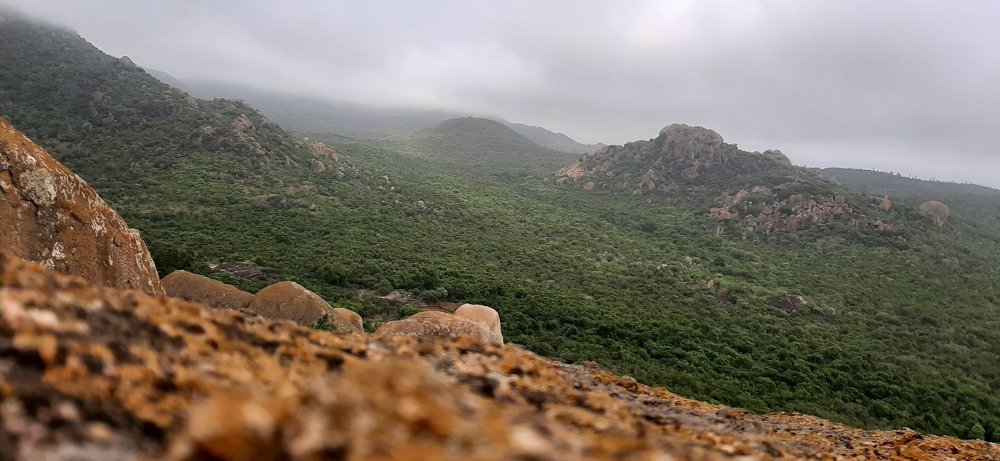 Photograph by Prashanth Kumar. C
