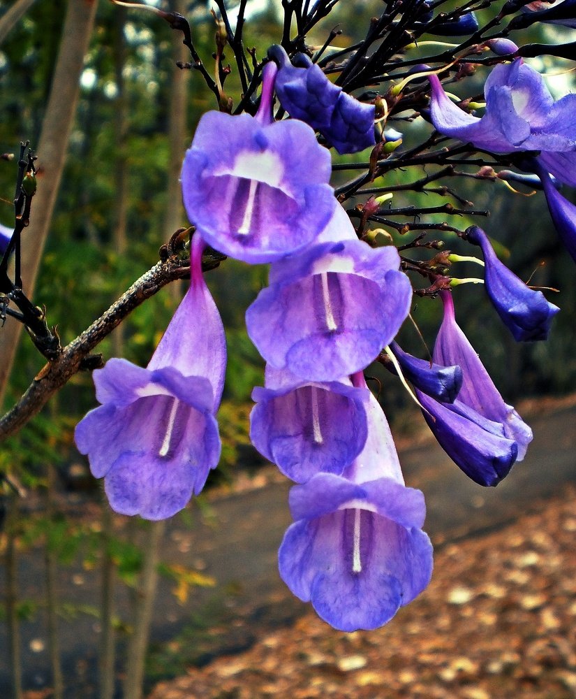 Photograph by Jhonnatan Campos