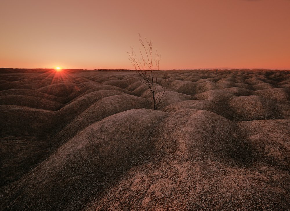 Фотография автора Максим