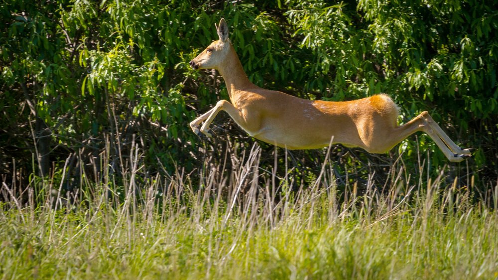 Photograph by Артем