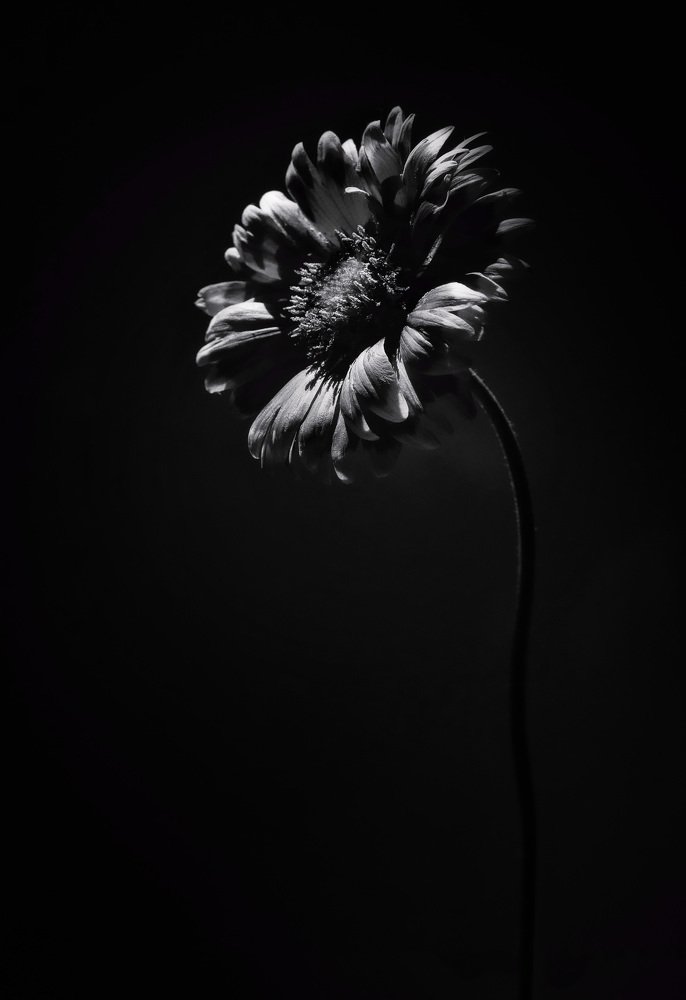 Photograph by Марина Тихонова