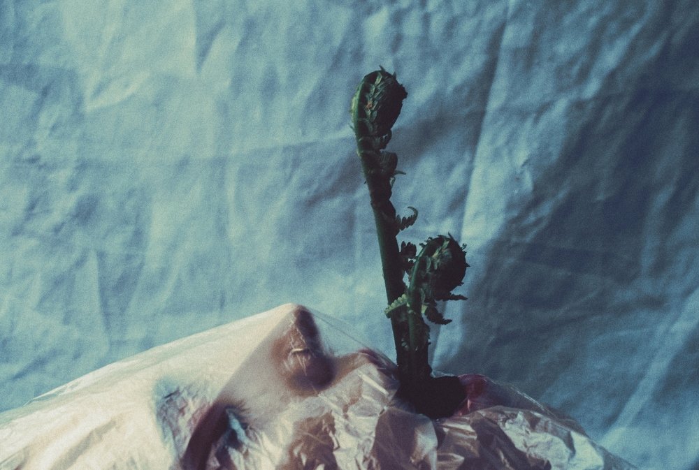 Photograph by Дмитрий Стадницкий