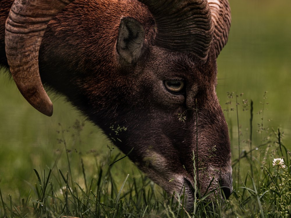 Photograph by Даниил Рождественский