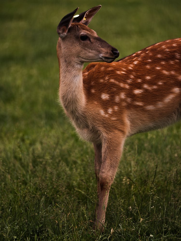 Photograph by Даниил Рождественский