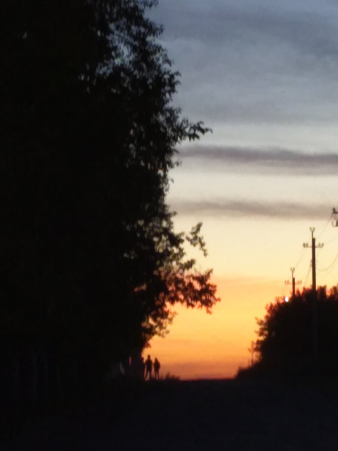Photo #4684336