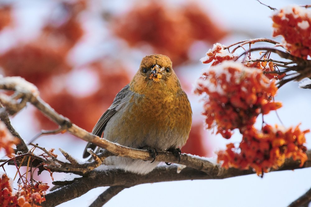 Photograph by Vasilii Medvedev