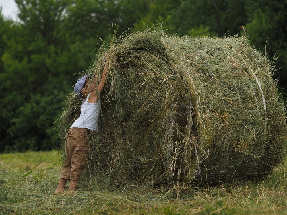 Photograph by Oлеся Грасько