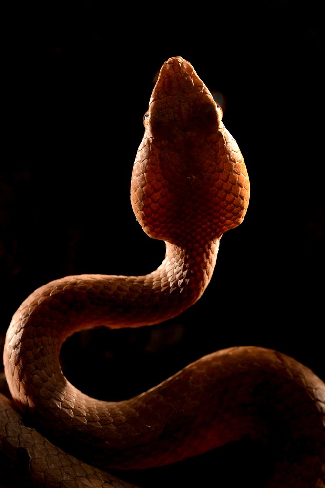 Photograph by Yuwaraj Gurjar