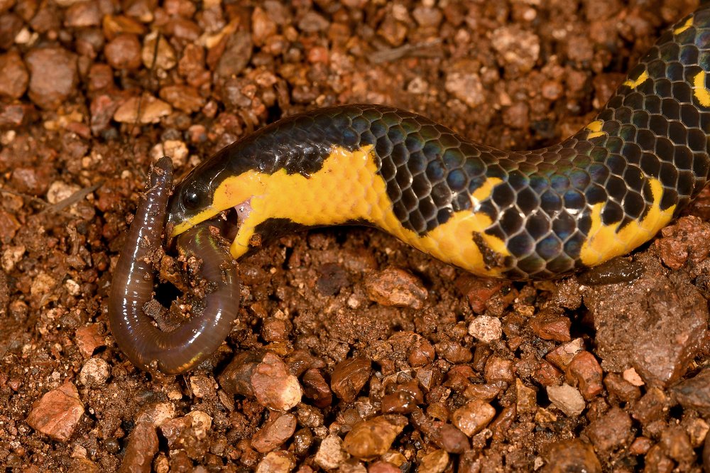 Photograph by Yuwaraj Gurjar