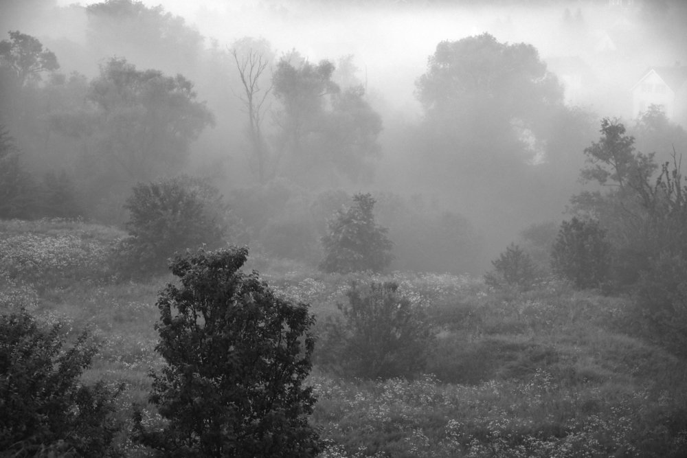 Фотография автора Коротков Алексей