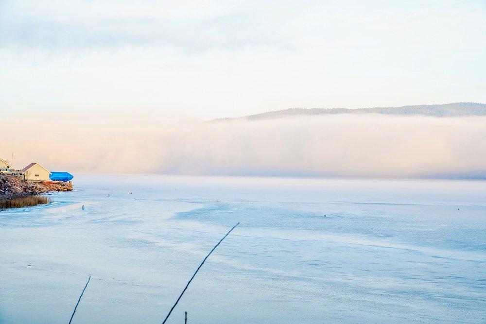 Photograph by Lena Sellberg