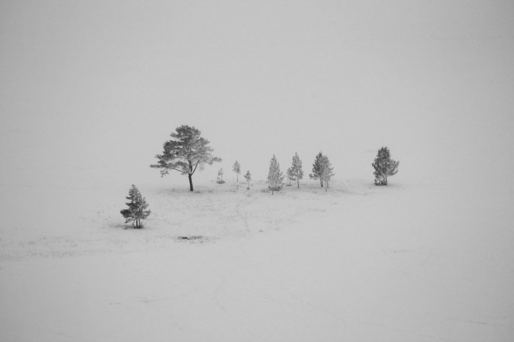 Фотография автора Елена Колосова