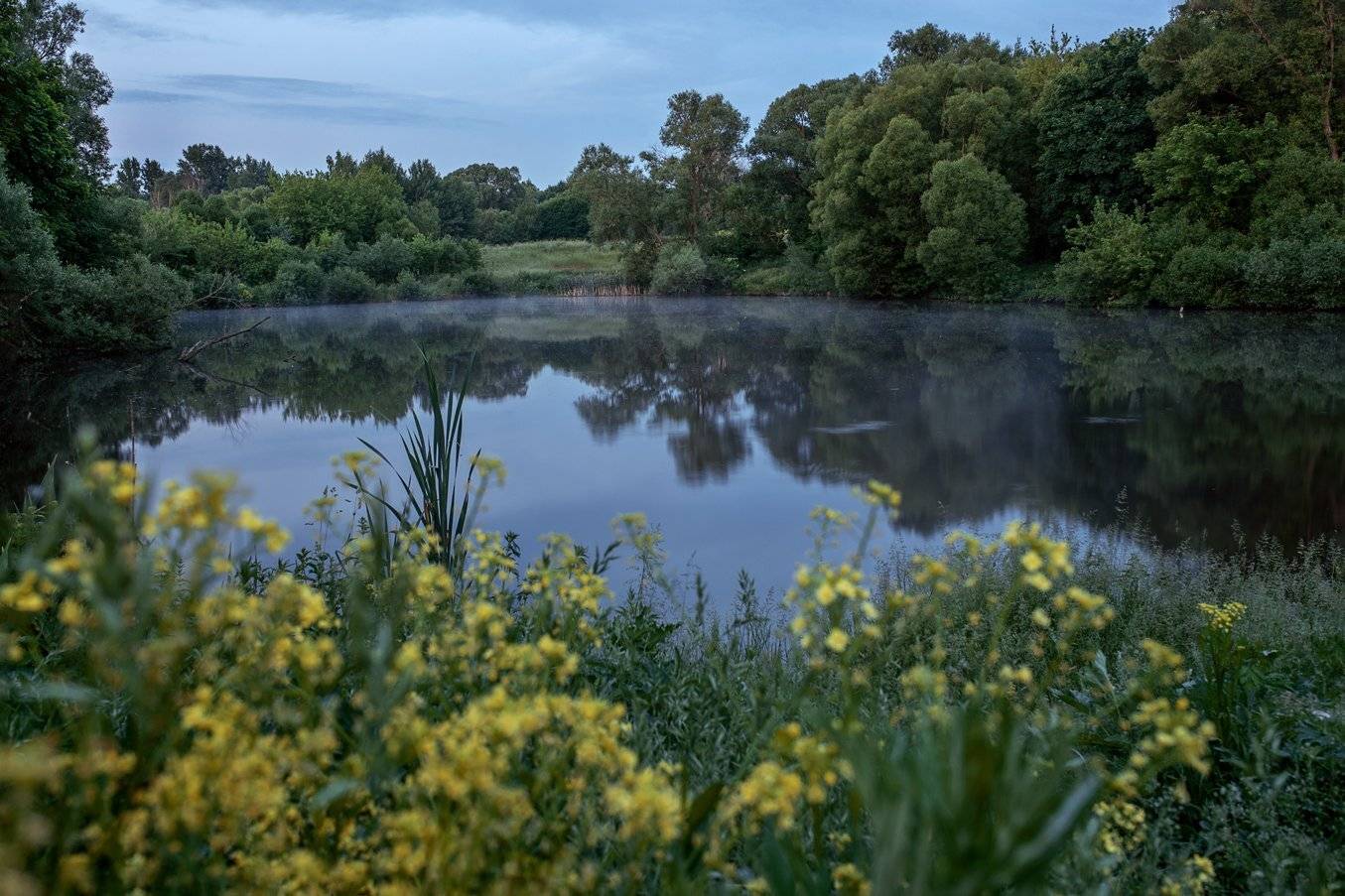 Фотография #4684675