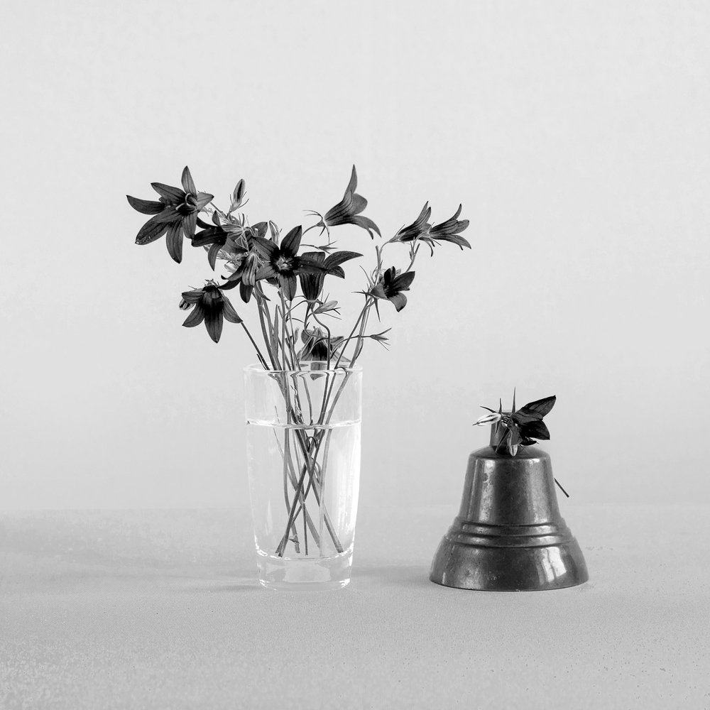 Photograph by Юлия Шестопалова