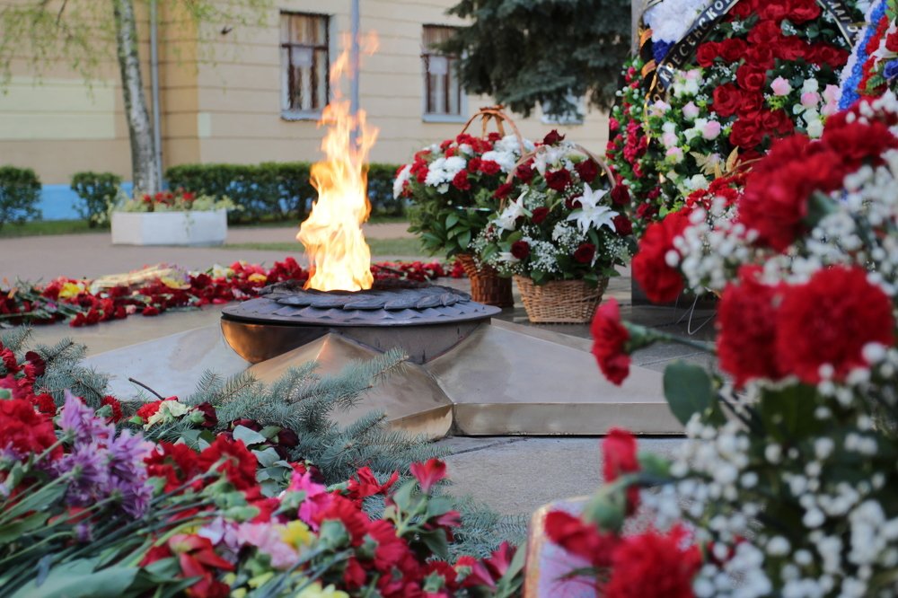 Фотография автора Елена Колосова