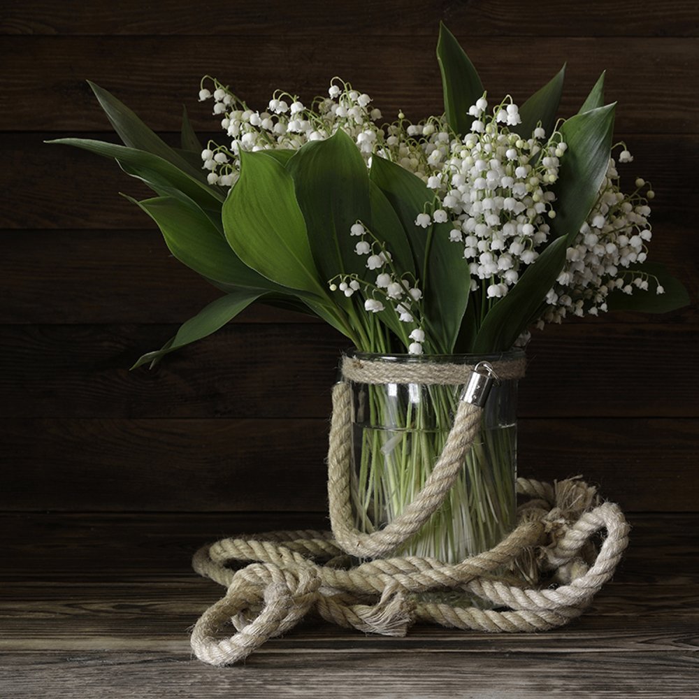 Photograph by Григорий Гурьев