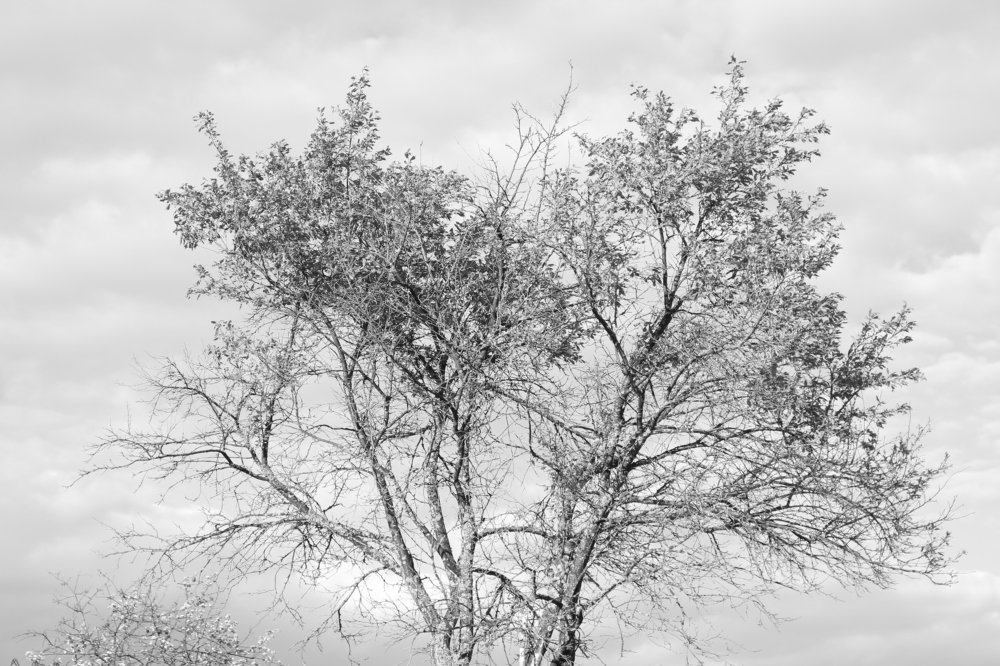 Photograph by  Татьяна