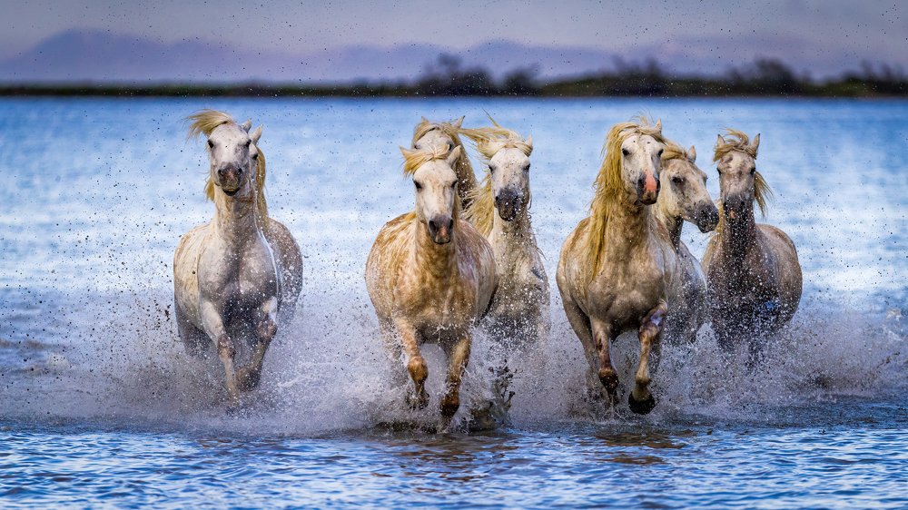 Photograph by Ruzdi Ekenheim