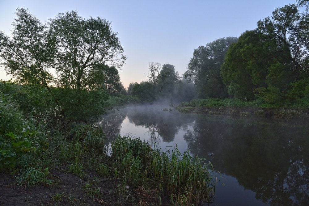 Фотография автора Коротков Алексей