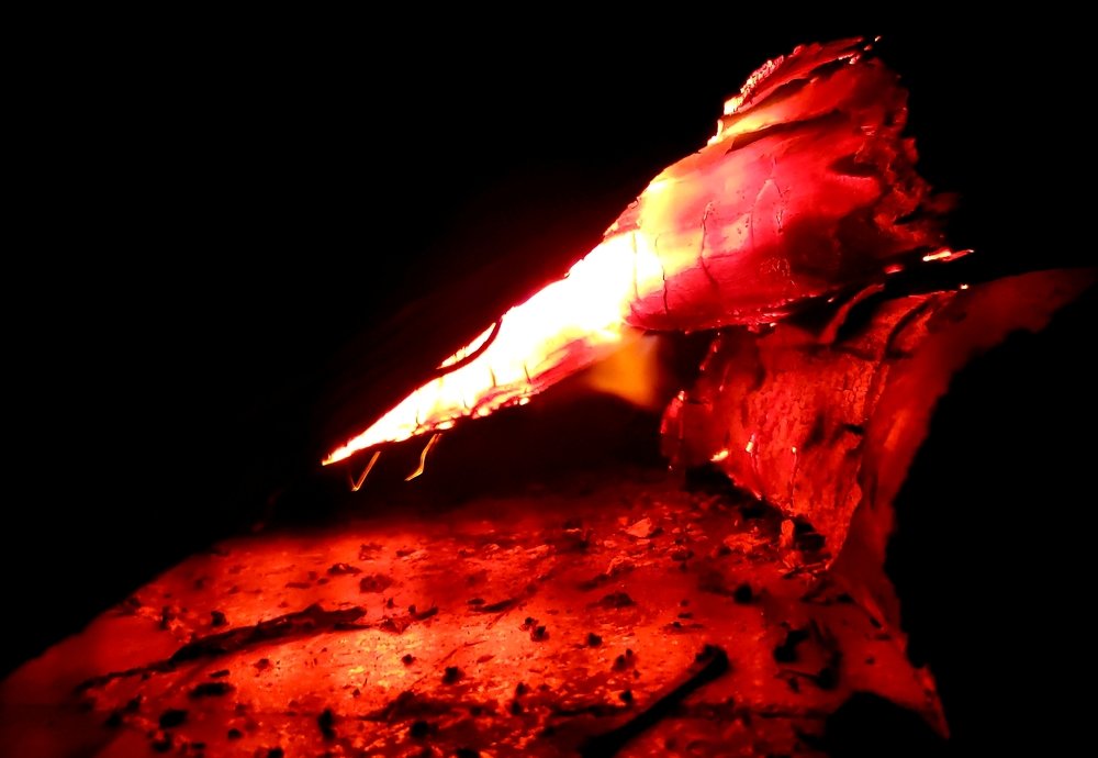 Photograph by ANTONIO LAFAIETE PAPAIANO