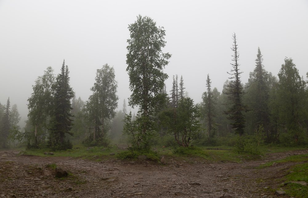 Photograph by Марина Новожилова