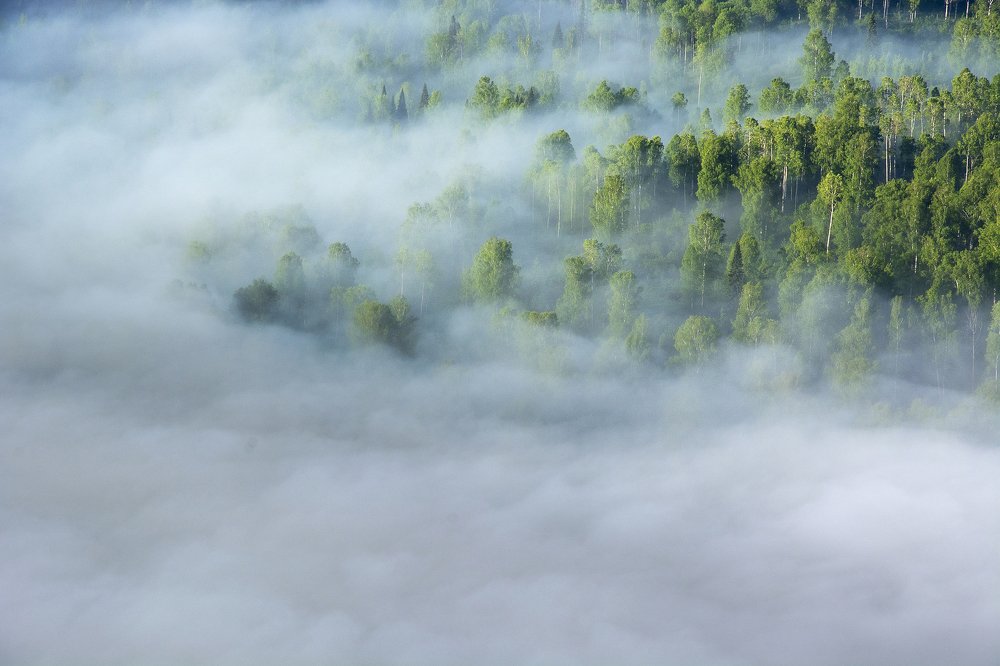 Photograph by Михаил Лавренков