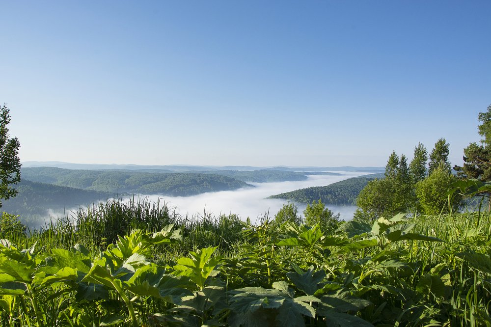 Photograph by Михаил Лавренков