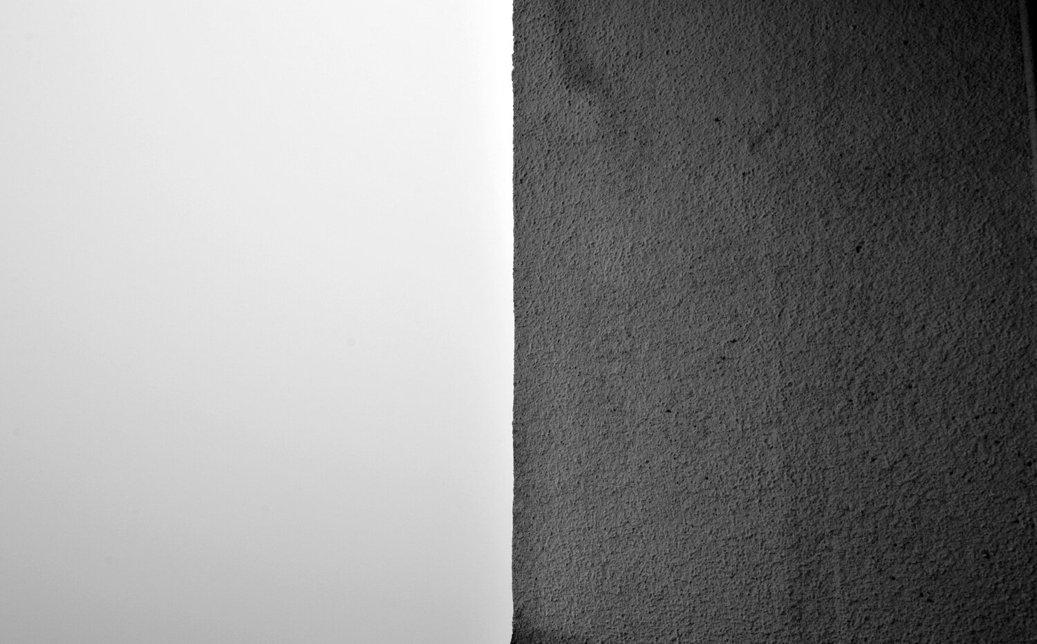 Photo #4684949