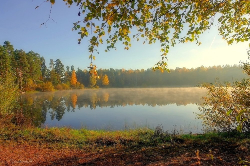 Photograph by Дмитрий Янтарев