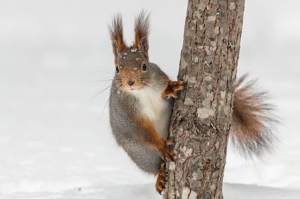 Photograph by Massimo Tamajo
