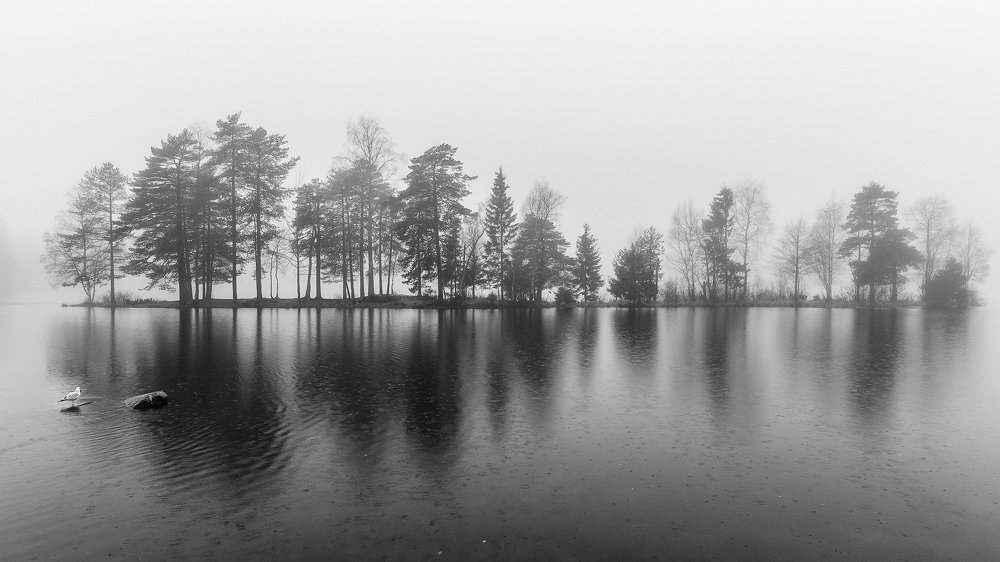 Photograph by Alla Fedina